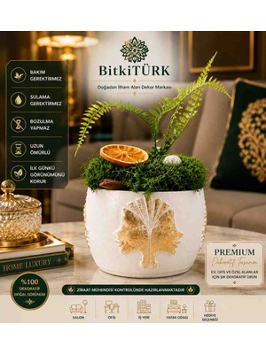 BitkiTÜRK Dekoratif Yosun Aranjmanı Beton Saksı Gold Detaylı Portakal Dilimli Aşk Merdivenli Masaüstü Dekoru Ev Ofis Hediyelik Ürün