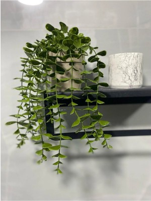 Naturelove Saksıdan Sarkan Okaliptüs Yapay Çiçek Saksılı Dekor Çiçek Masa / Ev / Ofis Dekoru