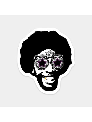 Funky Portre Sticker