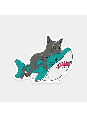 Köpekbalığına Binen Kedi Sticker