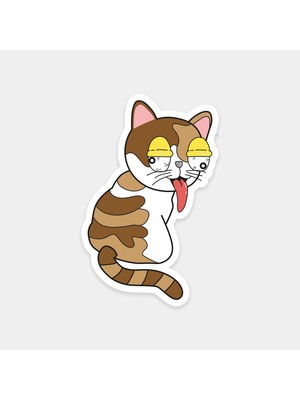 Kafası Gitmiş Kedi Sticker