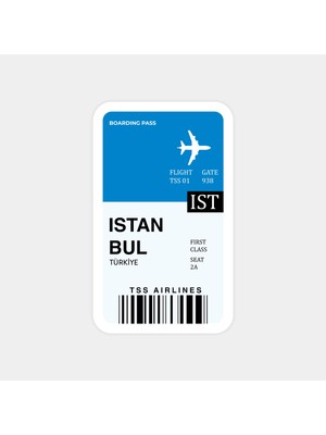 Istanbul Ticket Sticker