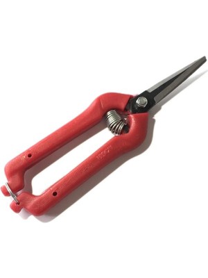 Hry Meyve Toplama Makası Ekonomik 19cm Üzüm Çilek Vb. Hafif Budama İçin Ergonomik Tasarım