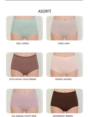Berrak Toparlayıcı Külot Pastel Renk (1 Adet )-Pastel-M