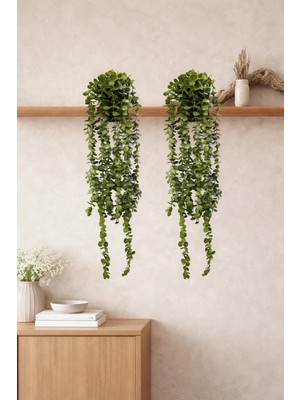 Nyl Home 2'li Çiçek Dekor Bitki Süs Sazlı Saksılı