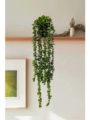 Nyl Home Saksıdan Sarkan Okaliptüs Yapay Çiçek Saksılı Dekor Çiçek Masa / Ev / Ofis Dekoru