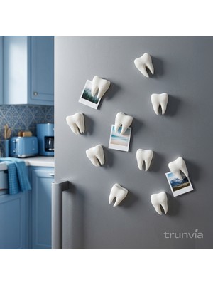 Trunvia 10'lu Diş Şeklinde Magnet Seti - Diş Hekimi Hediyesi Dekoratif 3D Buzdolabı Süsü ve Fotoğraf Tutucu