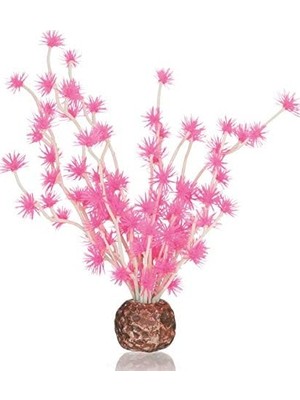 TeknoKapsül Biorb Bonsai Topu Pembe
