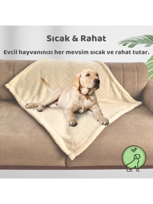 TeknoKapsül Beylini Battaniyesi Peluş Evcil Hayvan Uyku Battaniyesi Yıkanabilir Krem (60X80)