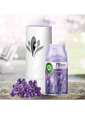 TeknoKapsül Reckitt Air Wick Freshmatic Lavanta Yedek Sprey
