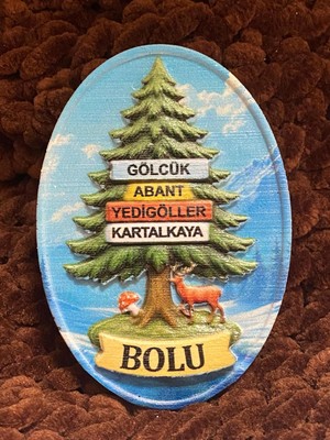 TeknoKapsül Bolu Temalı Oval Magnet, Gölcük Abant Yedigöller Kartalkaya, Hediyelik Buzdolabı Magneti