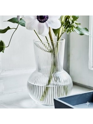 TeknoKapsül Cam Vazo, Şeffaf, Çizgili Tasarım, 25 Cm, Minimalist Stil, Çiçek Düzenlemeleri Için
