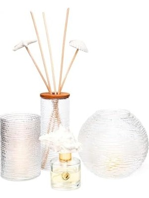 TeknoKapsül Mi̇ssi̇ Cam Vazo/mumluk (17 Cm)
