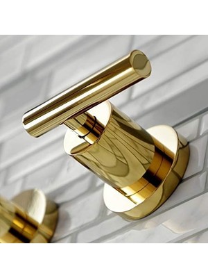 TeknoKapsül KS8122CML 2 Kollu 8 Inç Duvara Monte Banyo Musluğu, Cilalı Pirinç