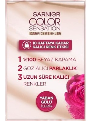 TeknoKapsül Çarpıcı Renkler Yoğun Kalıcı Saç Boyası No 4.15 Buzlu Kestane