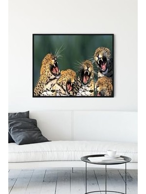 TeknoKapsül (PSTER11954) Gülen Leoparlar Eğlenceli Mizahi Çerçeveli Tablo (50X70CM)