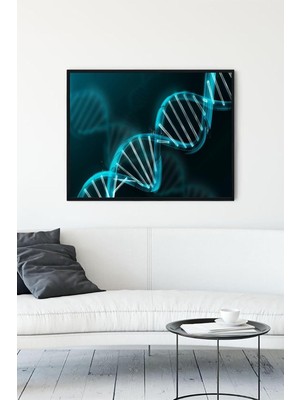 TeknoKapsül (PSTER10713) Dna Bilimsel Çerçeveli Tablo (30 x 40CM)
