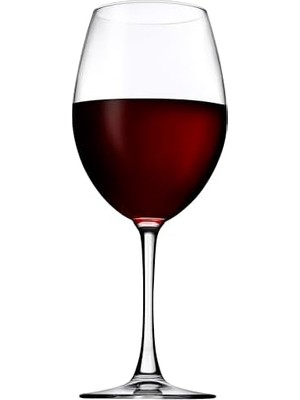 TeknoKapsül Enoteca Şarap Kadehi̇ 615 cc 6 Pt