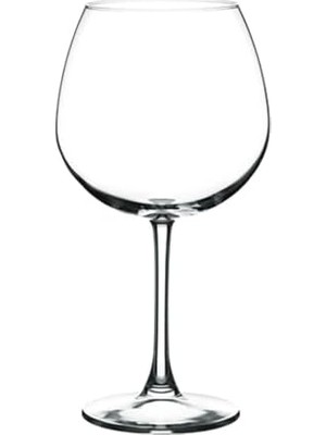 TeknoKapsül Enoteca Şarap Kadehi