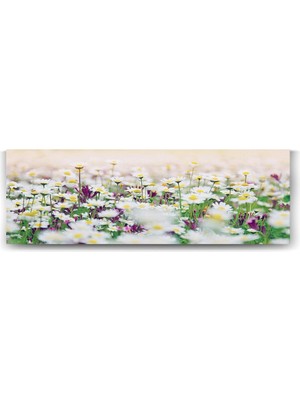 TeknoKapsül Papatya Tarlası Panorama Tablo - 120X40CM