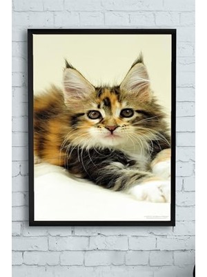 TeknoKapsül (PSTER11558) Hayvan Çerçeveli Tablo 5 (50X70CM)