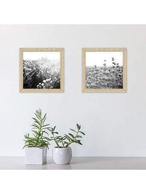 TeknoKapsül Mcs Galeri Temel Çerçeve, Doğal Ahşap Tahıl, 20,32 x 20,32 Cm, 2 Paket
