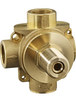 TeknoKapsül Standard R422S Evrensel/aile Yok Kaba Vana, Cilasız