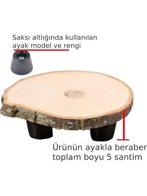 TeknoKapsül Ağaç Saksı Altlığı Ayaklı Çapı 14-16 Santim
