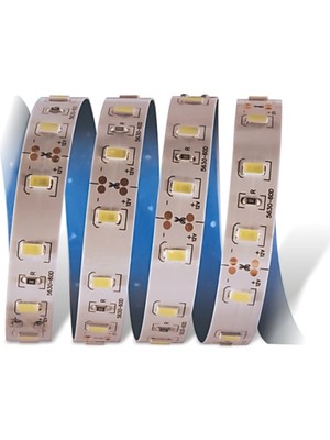 Bilfold Eco Lounge 5 Metre Cata Ct 4535 Iç Mekan 12V 12 Çipli  Şerit LED 6400K Beyaz Işık