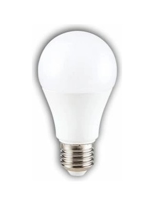 Eco Lounge Cata Ct 4266 LED Ampul 12W 6400K Beyaz Işık E27 Duy