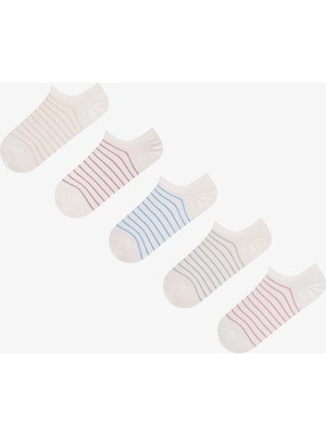 Penti 5 Çift Burun Dikişsiz Pamuklu Renkli Çizgi Desenli Sneaker Çorap