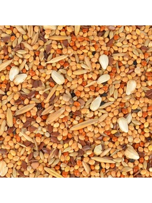Belirtilmemiş Quik Kızıştırıcı Muhabbet Kuşu Yemi 150 G