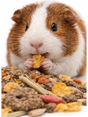 Belirtilmemiş Versele Laga Muesli Guinea Pig Yemi 1 kg