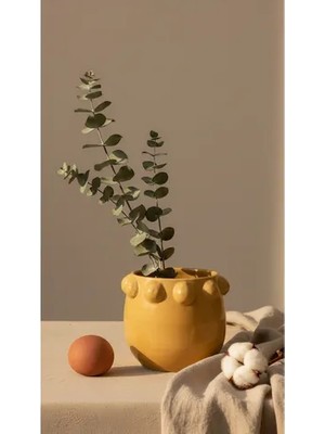 Vivense El Yapımı Sarı Noktalı Kabartmalı Terracotta Saksı