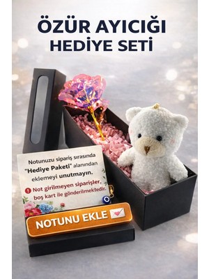 İnci Sepette Özür Mesajlı Notlu Hediye Paketi Peluş ve Solmayan Gül