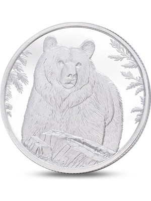 Agakulche Ayı Gümüş Sikke Coin