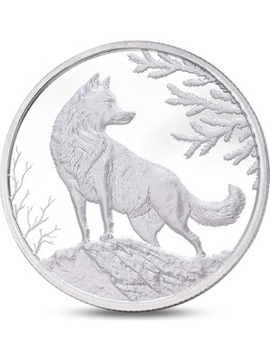 Agakulche Kurt Gümüş Sikke Coin