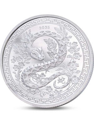 Agakulche Yılan Figürlü Gümüş Sikke Coin