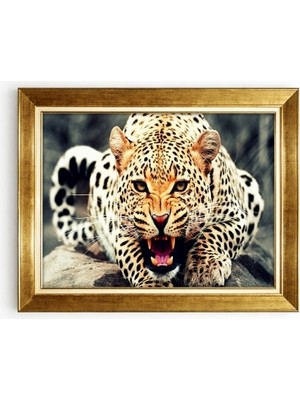 Tablore Leopar Desenli Vahşi Doğa Altın Çerçeveli Kanvas Tablo