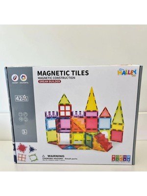 Zenvia Mey Ithalat® SH40761 42 Parça Magnet Standart Seri Renkli Blok