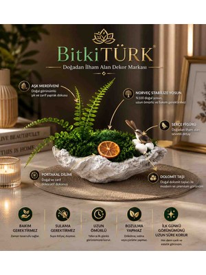 BitkiTÜRK 🌿✨ Aşk Merdivenli Stabilize Yosun Dekoru | Serçe Figürlü Premium Masaüstü Dekor | Doğal Görünümlü Bakım Gerektirmeyen Ev ve Ofis Süsü