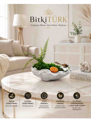 BitkiTÜRK 🌿 Yapay Aşk Merdivenli ve Stabilize Yosun Dekorlu Bakım Gerektirmeyen Masaüstü Bitki | Serçe Figürlü Ev ve Ofis Dekoru