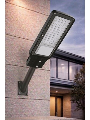 Cata CT-4681 80W Platinum Sokak Armatürü