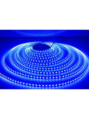 Cata CT-4484 10 Çip Şerit LED Iç Mekan Mavi (5 Mt)