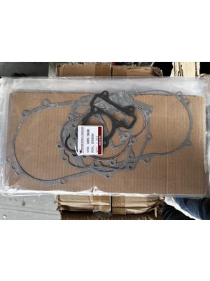Grifin Soft Kuba Zenzero 125 Conta Seti