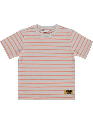 Civil Boys Çizgili Etiketli 2-5 Yaş Tişört - Pembe