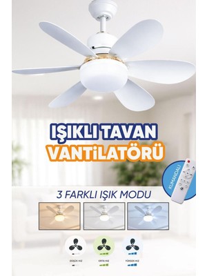 Waldern 6 Kanatlı, Işıklı Sessiz Çalışma Tavan Tip Vantilatör