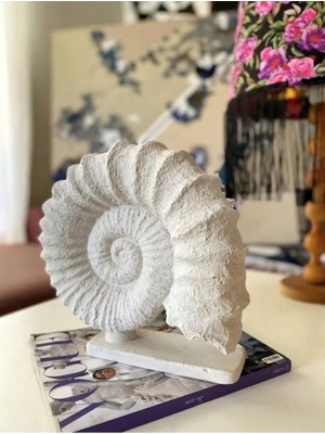 Miarik Design Deniz Kabugu Obje