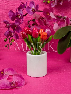 Miarik Design Beyaz Mermer Dıs Fırcalık
