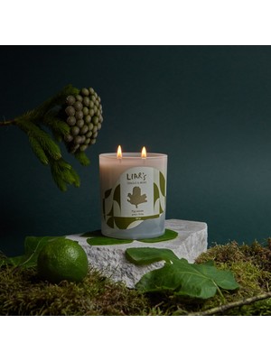 Liar's Candle & More Fig Leaves